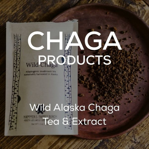 White text stating "Chaga Products: Wild Alaska Chaga Tea & Extract" in front of a picture of a craft bag of wild chaga tea and loose ground chaga tea on a plate