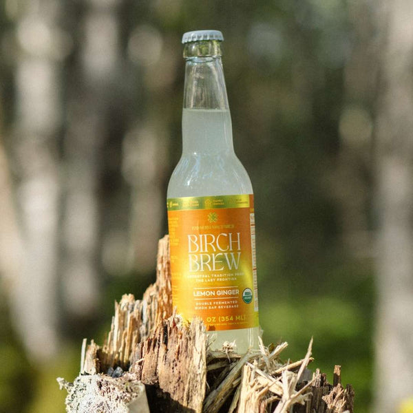 A bottle of Birch Brew Lemon-Ginger non-alcoholic fermented birch water drink, standing on a weathered tree stump with a blurred forest background.
