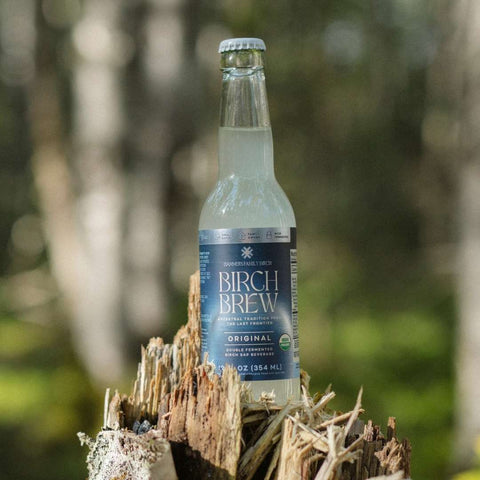 A bottle of Birch Brew Original non-alcoholic fermented birch water drink, standing on a weathered tree stump with a blurred forest background.