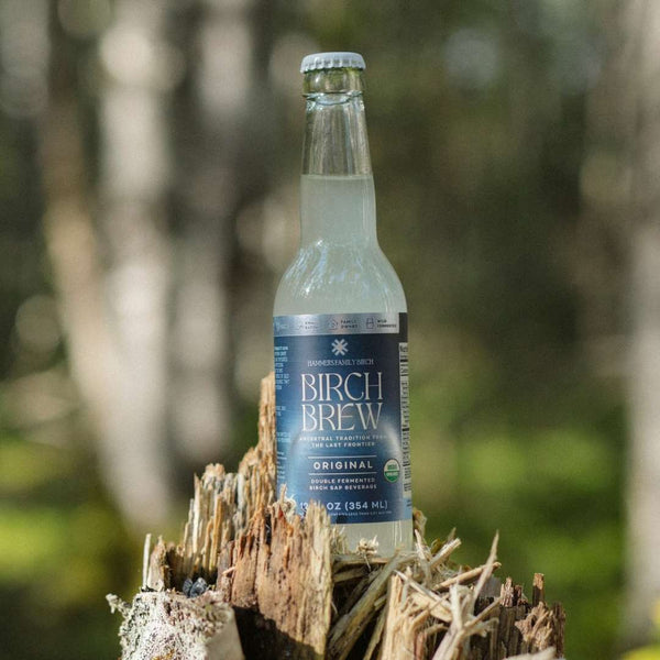 A bottle of Birch Brew Original non-alcoholic fermented birch water drink, standing on a weathered tree stump with a blurred forest background.