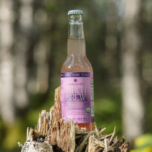 A bottle of Birch Brew Raspberry non-alcoholic fermented birch water drink, standing on a weathered tree stump with a blurred forest background.