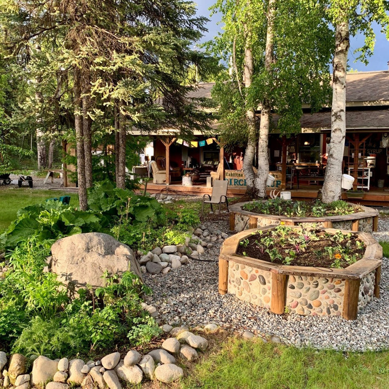 Outdoor setting with a fire pit and garden area near a wooden cabin outside Kahitlan Birchworks shop.