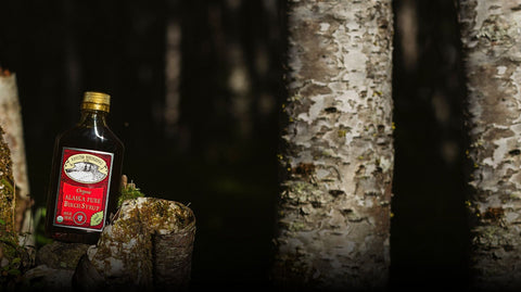 A bottle of organic alaska pure birch syrup and syrup with a gold cap and red label, resting on a mossy log in a dark forest setting with birch tree trunks.