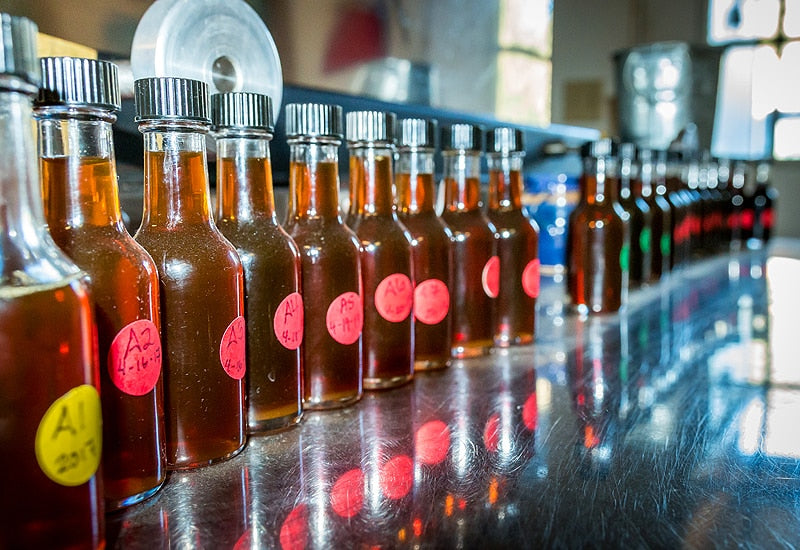 Row of small birch syrup bottles with labels on a reflective surface, likely in a laboratory or industrial setting.