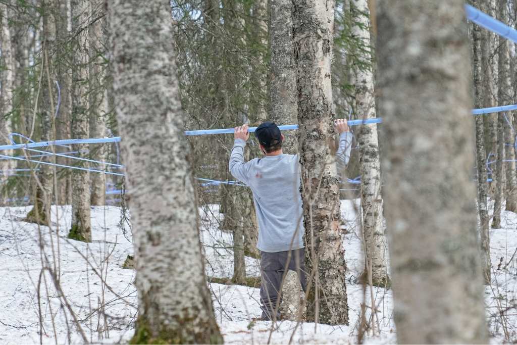 A man stands in a snowy forest among birch trees, holding a long blue horizontal birch tapping tube for collecting birch sap between his hands. Multiple blue lines are visible across the snowy ground in the wooded area.