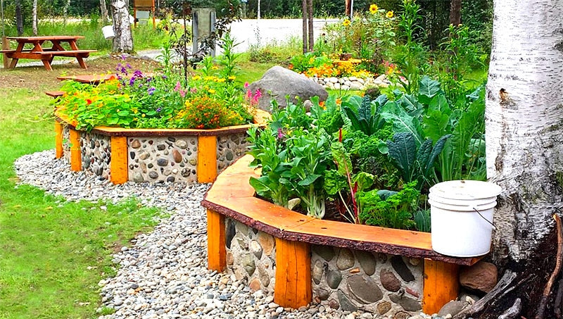 Garden bed with stone and wooden border filled with plants and vegetables, surrounded by a natural landscape.
