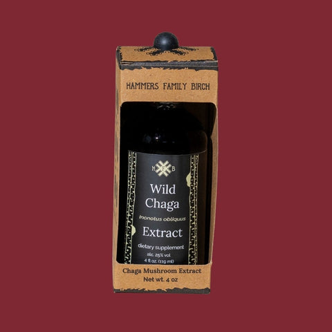 4oz glass dropper bottle of Hammers Family Birch Wild Chaga Extract 
