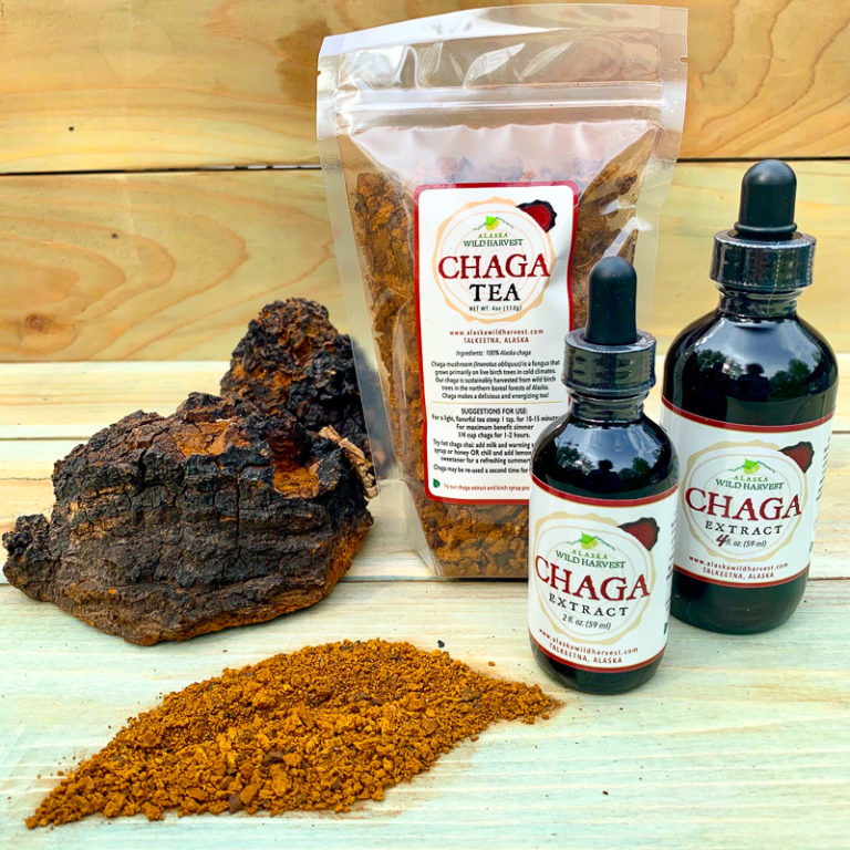 Chaga Tea and Extract Combo Alaska Birch Syrup and Wild Harvest